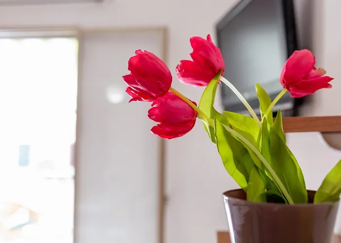 Ferienhaus Kaary Happiness *